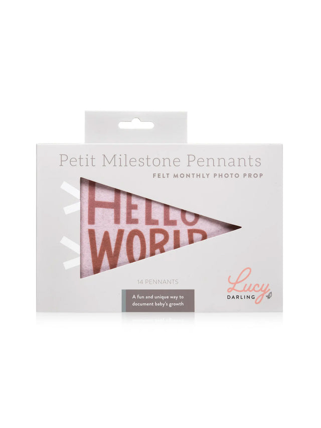 Milestone Pennants Baby : Nursery : Decor : Parent Lucy Darling Milestone Pennants