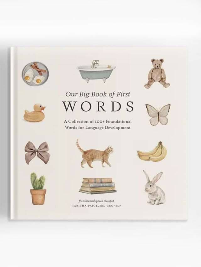 Our Big Book of First Words