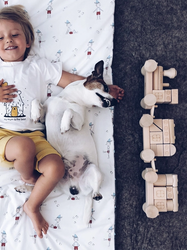 Wooden Stacking Train